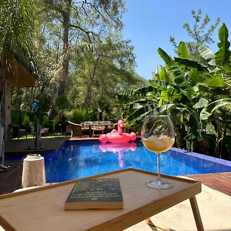 Metavilla Villa *