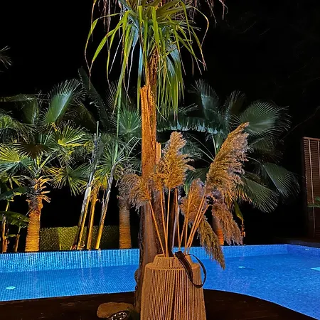 Villa Metavilla